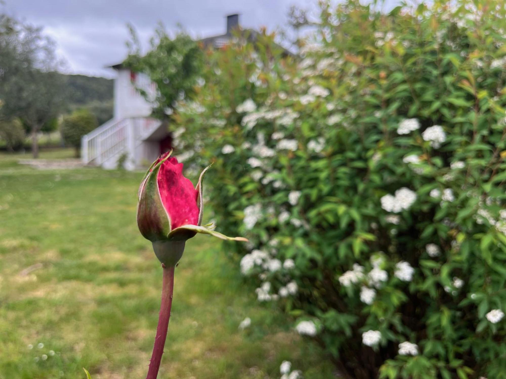 A Casina Casa Rural En Galicia Оуренсе Екстериор снимка