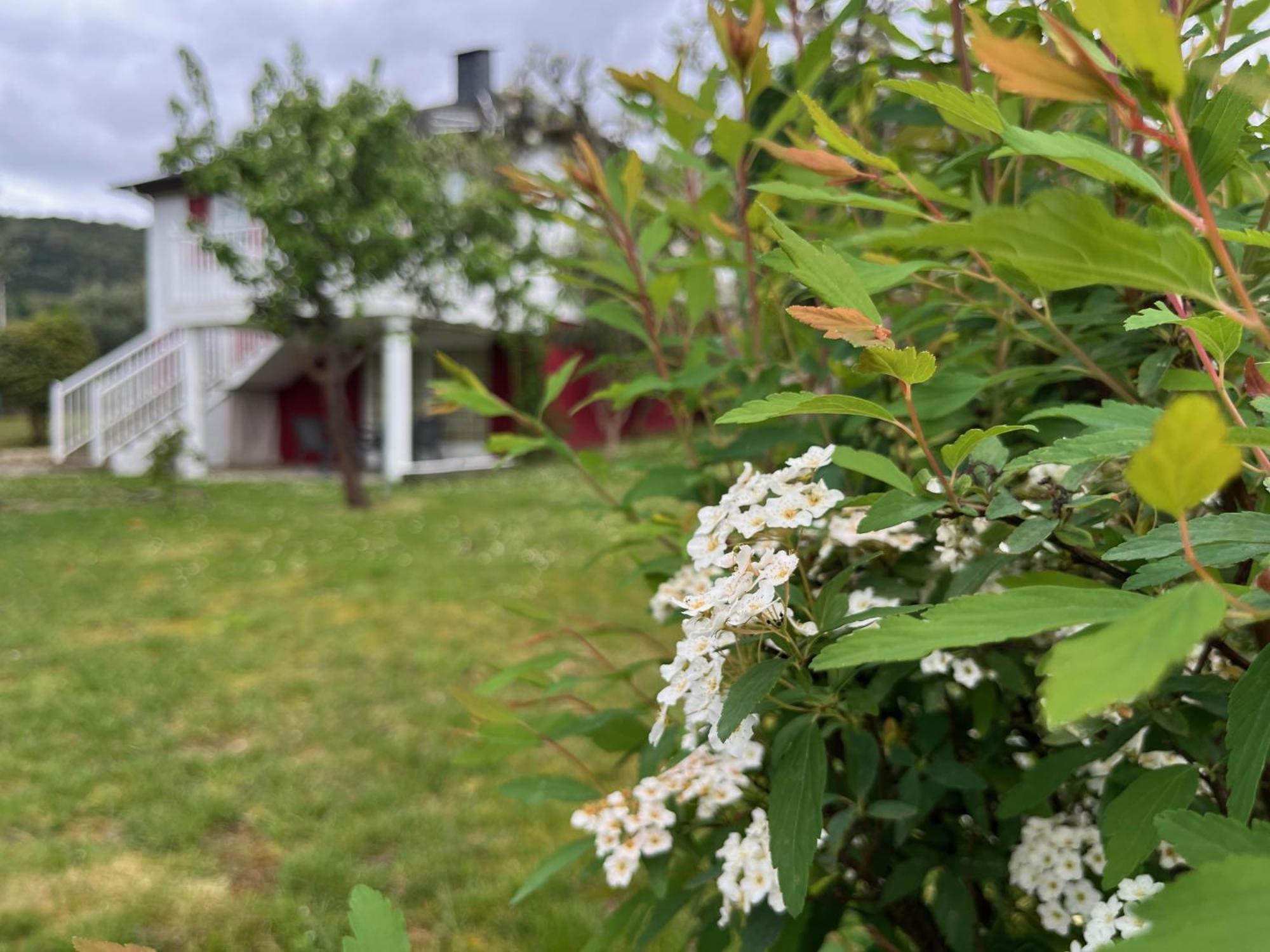 A Casina Casa Rural En Galicia Оуренсе Екстериор снимка